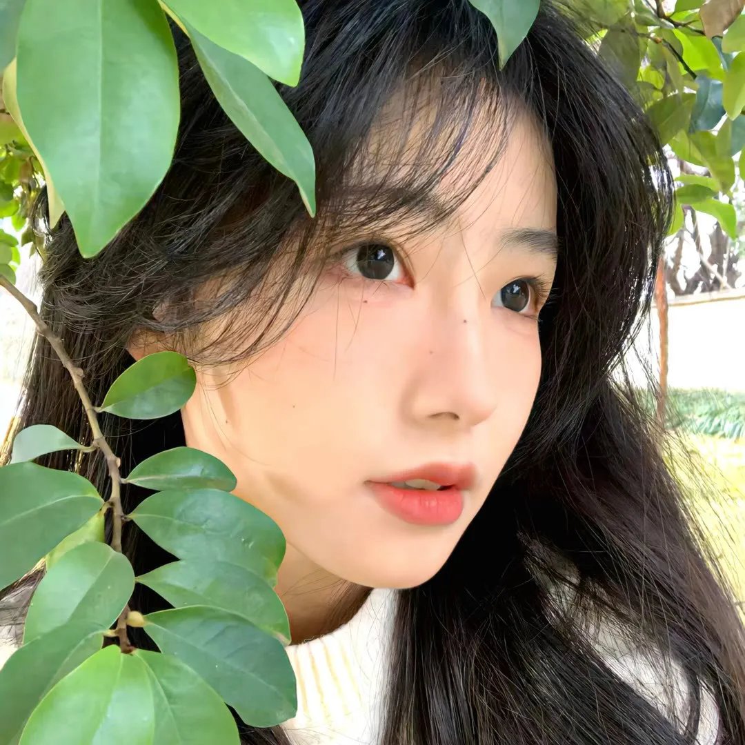 禁宫情燄