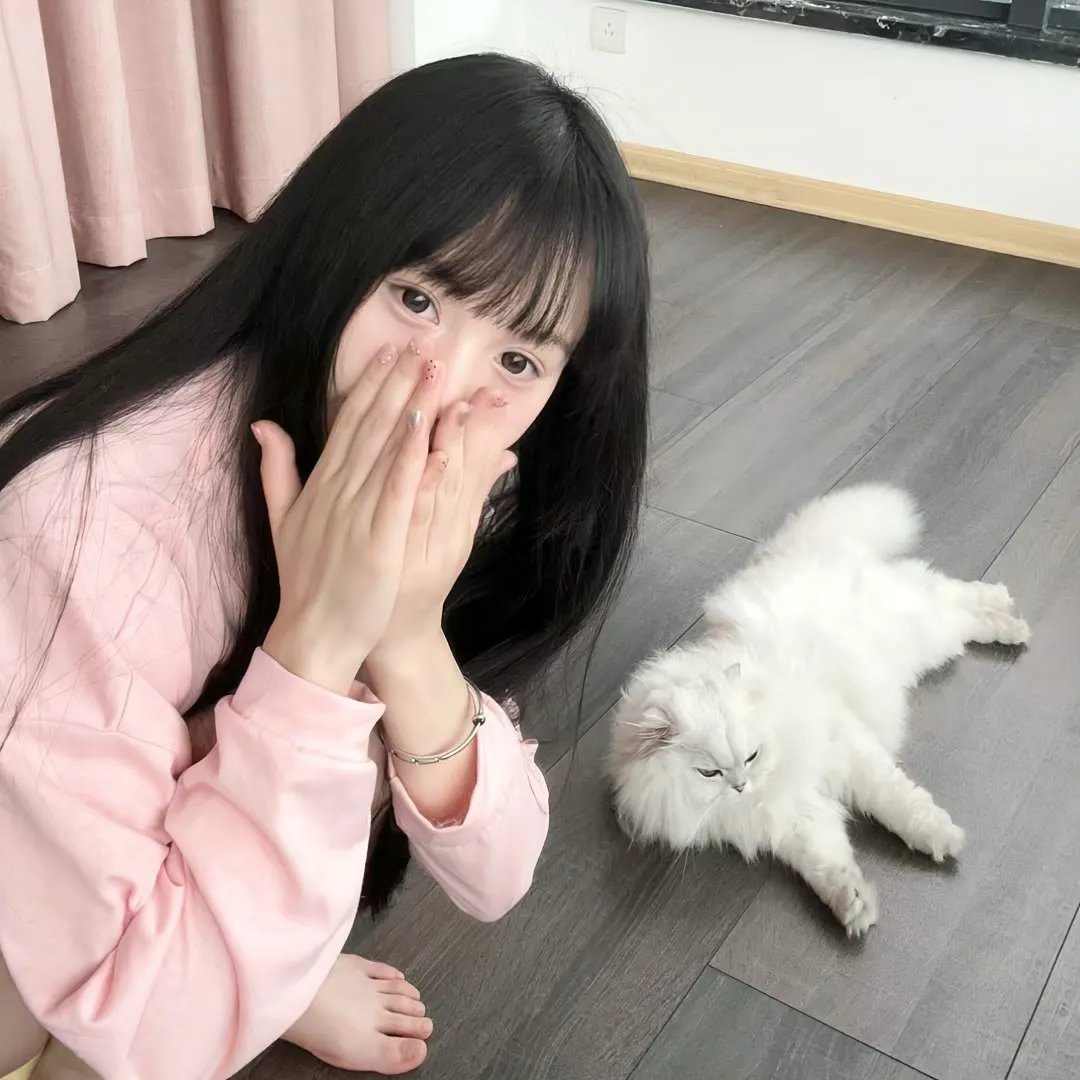 追鹰日记